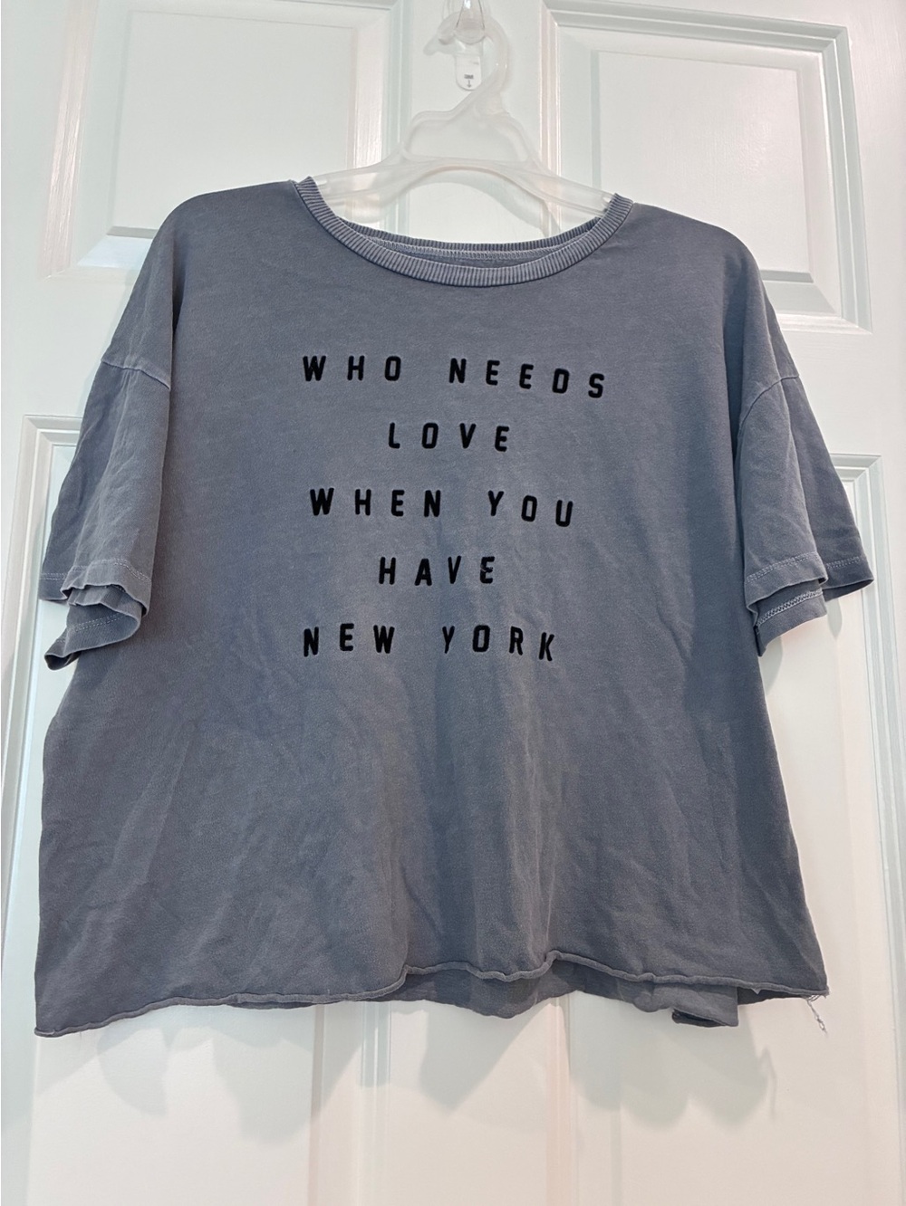 American Eagle Outfitters Gray Short Sleeve‎ Graphic Tee